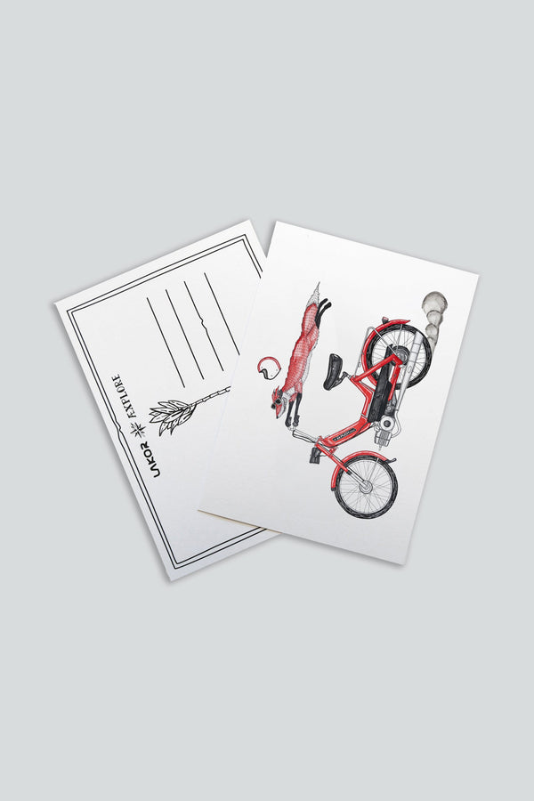 Foxtail Postcard