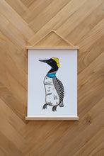 Load image into Gallery viewer, Northern Diver Poster
