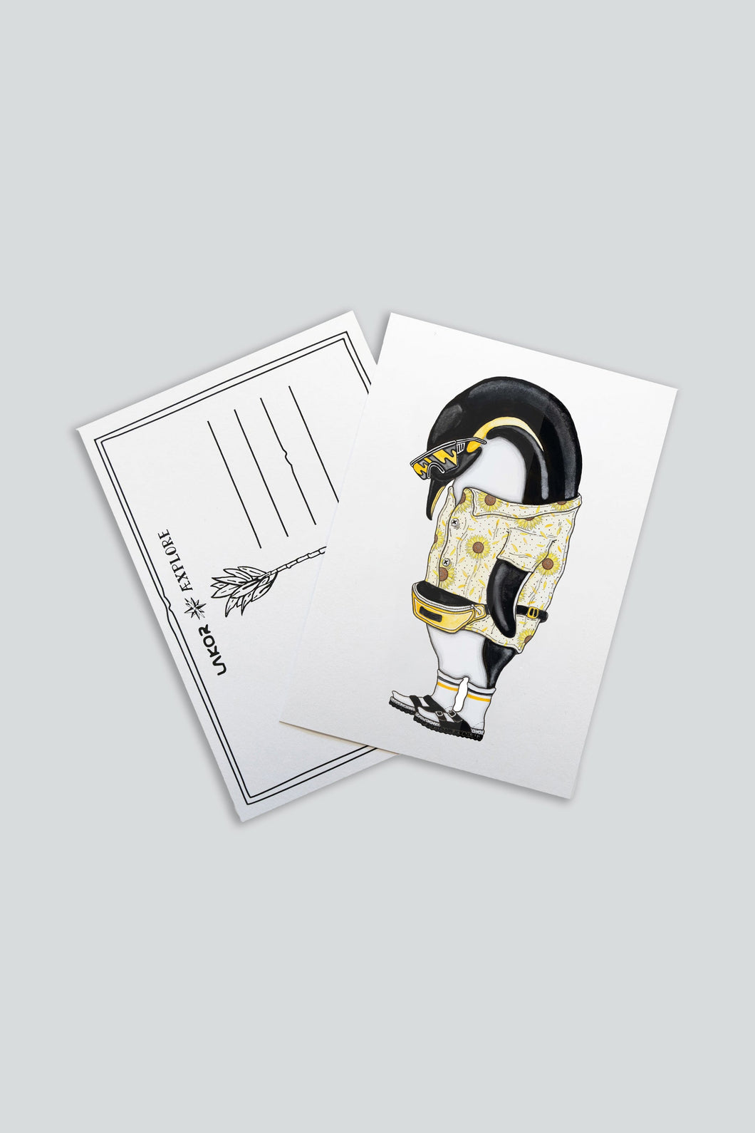 Pilgrim Penguin Postcard