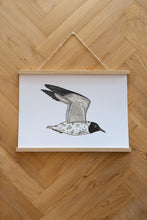 Load image into Gallery viewer, Tattooed Seagull Poster
