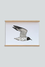 Load image into Gallery viewer, Tattooed Seagull Poster
